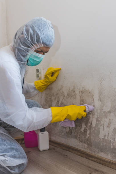 Best Mold Removal for HVAC Installations  in Miramar Beach, FL